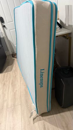 Matress Full Size $20