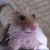 Kevin