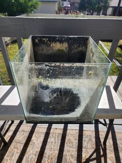 14 G Rimless Fish Tank