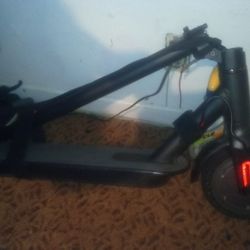 Scooter Needs Gone