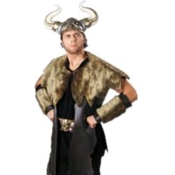 Viking Costume Size Mens Large
