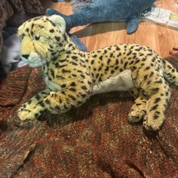 National Geographic cheetah