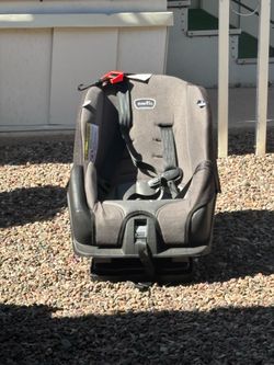 Young child Even Flo car seat
