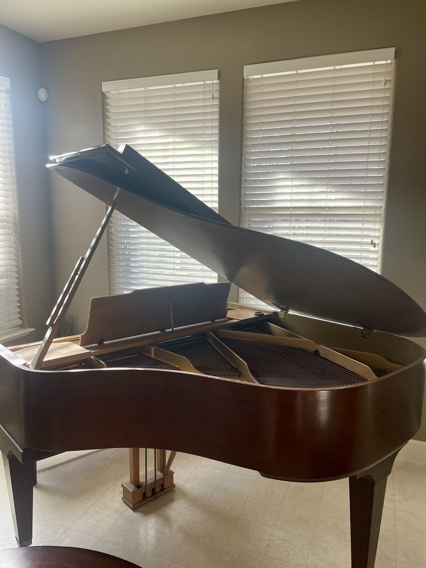 Baby Grand Piano