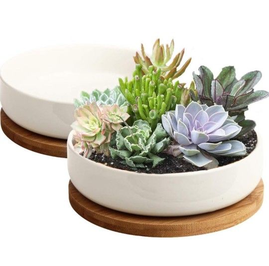 Ceramic Flower Planter Pot with Bamboo Tray