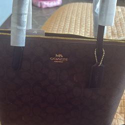 Fiona Coach Bag