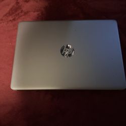 HP Pink Laptop 
