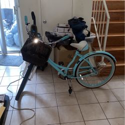 Schwinn Cruiser Bike 