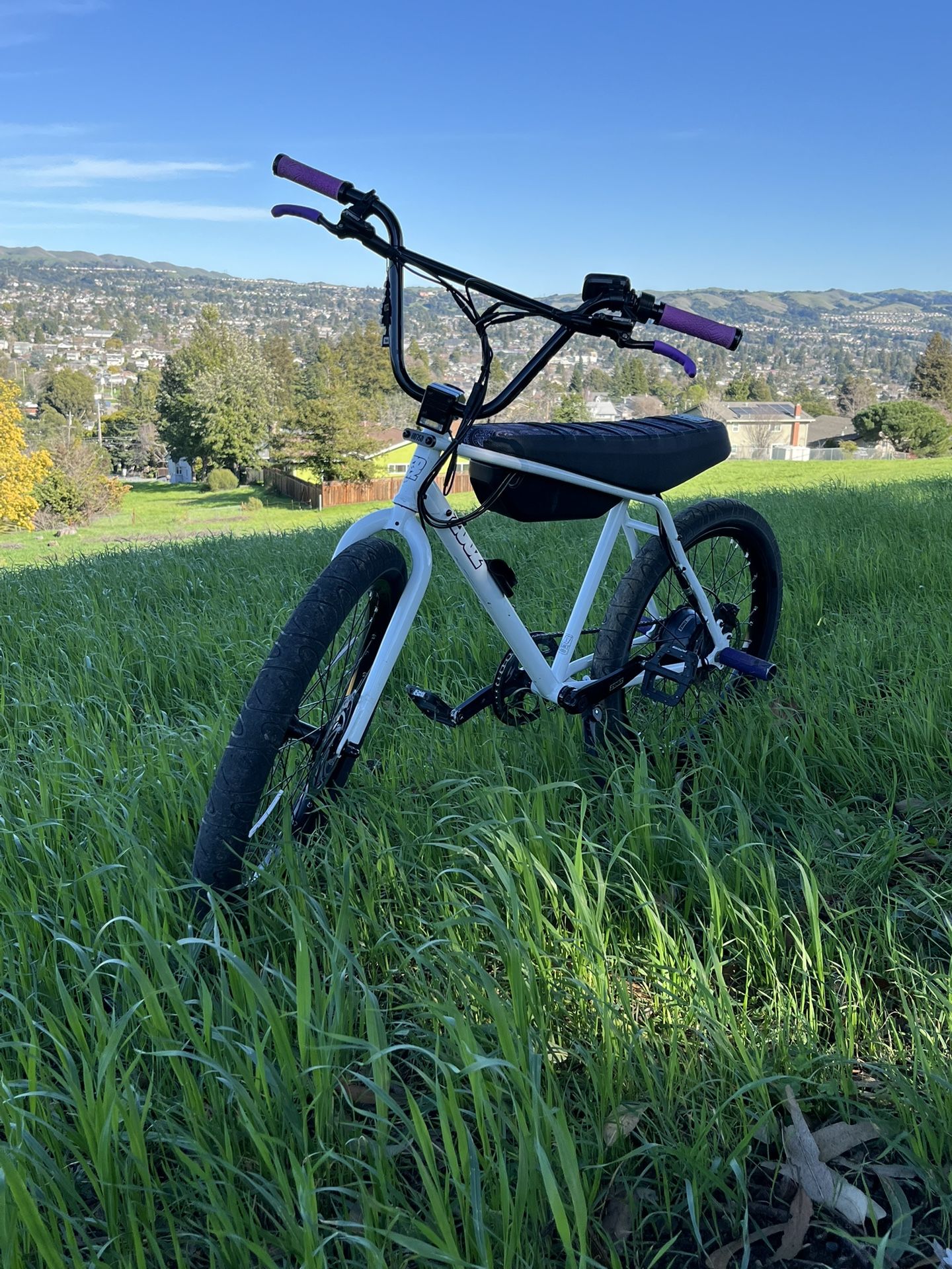 Zooz 750