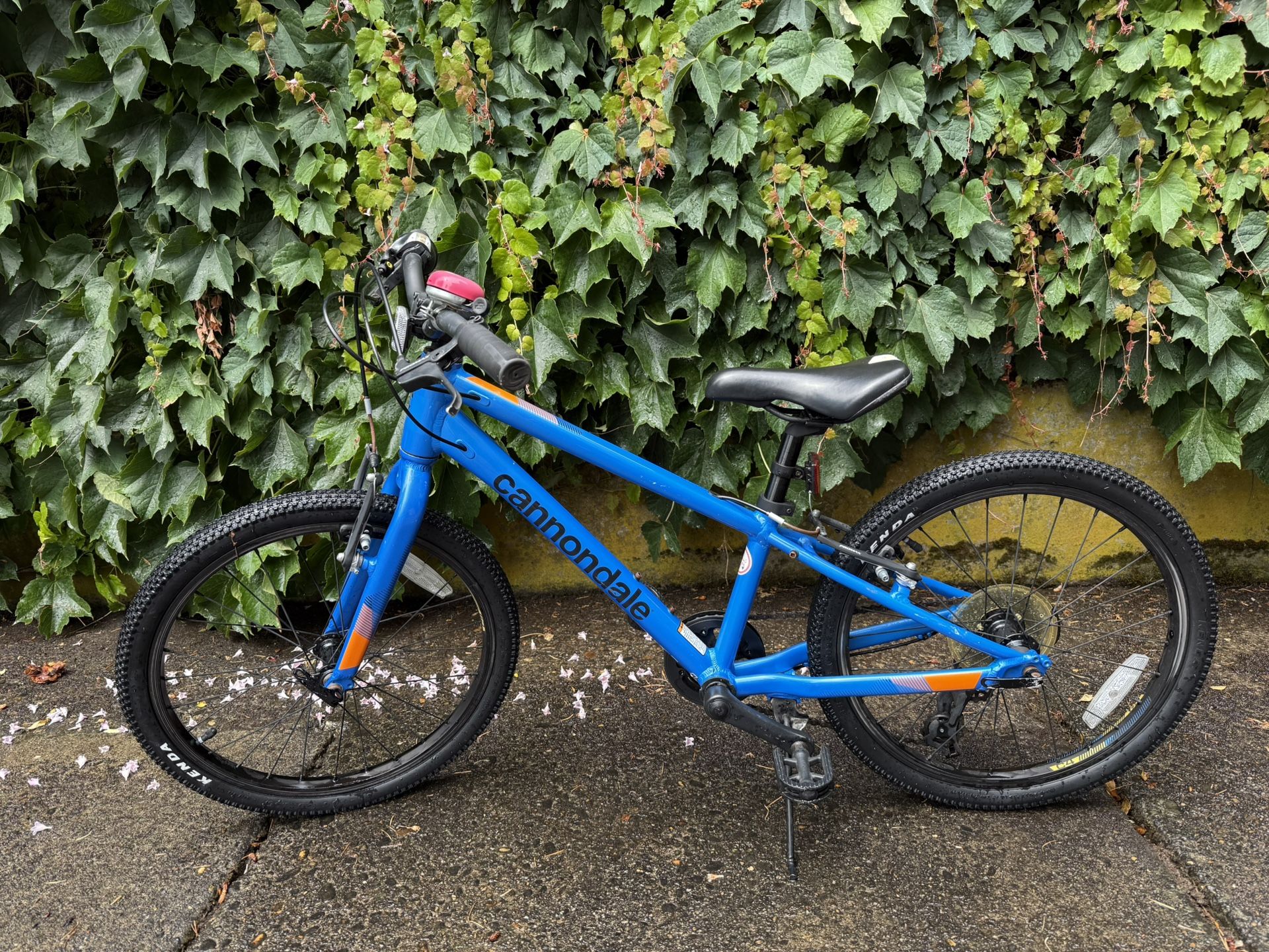 Cannondale Kids 20 inch Bike