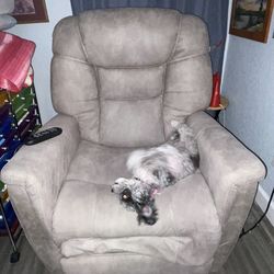 Lift Chair/Recliner