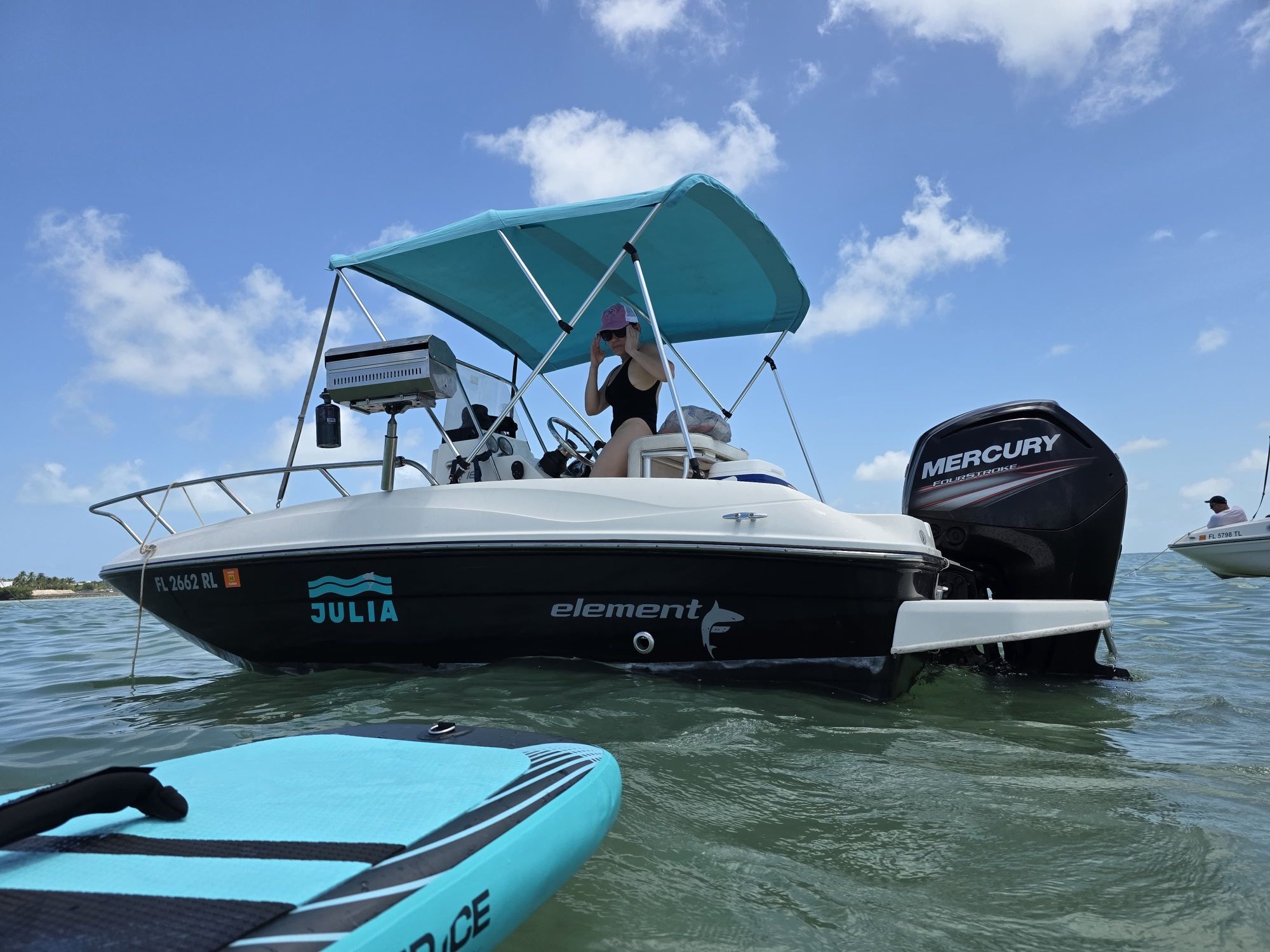 Bayliner 16-foot boat with a 2018 Mercury 150 engine. Trailer included