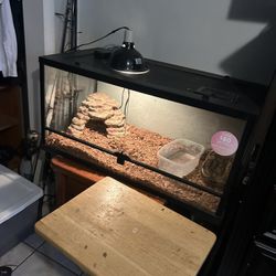 Reptile Enclosures, And Other Stuff