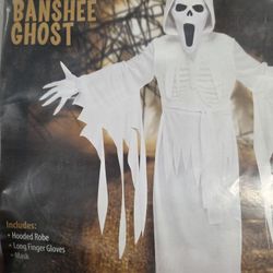 Banshee Ghost Boys Costume