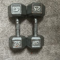 2, 25 pound dumbbells 