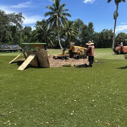 Grinding Stumps 