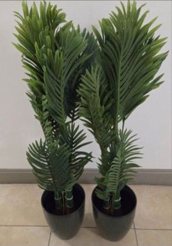 PAIR of 50in Faux Golden Cane Palms in 11in (Tall) Green Planters (2 for $90) @ Lasting Creations