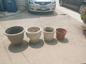 Flower Pots🪴
