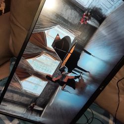 LG 27in. HD Computer Monitor 