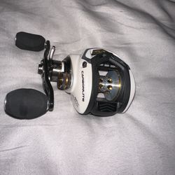 Fishing Pole And Bait caster 