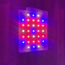 Grow Light