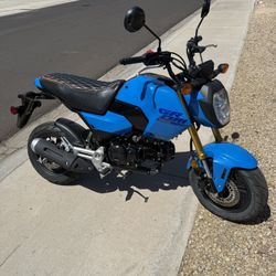 2025 Honda Grom