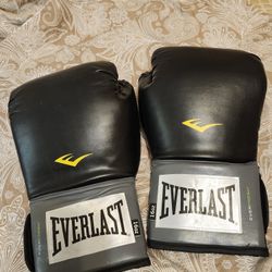 Everlast Training Gloves 16-oz 