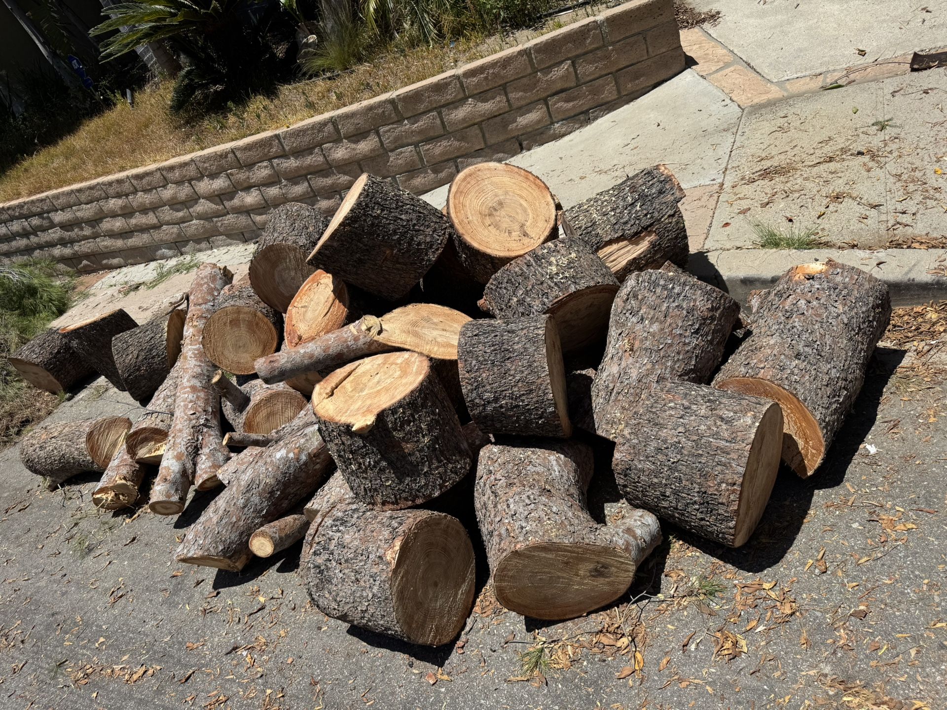 Free Firewood Today!