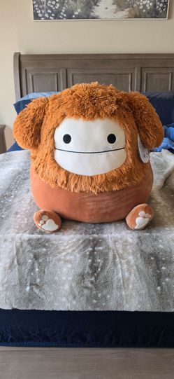 Squishmallow benny