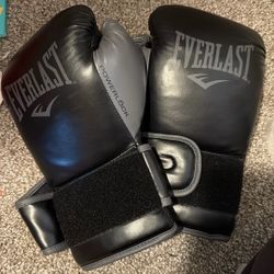 Everlast Boxing Gloves 16oz