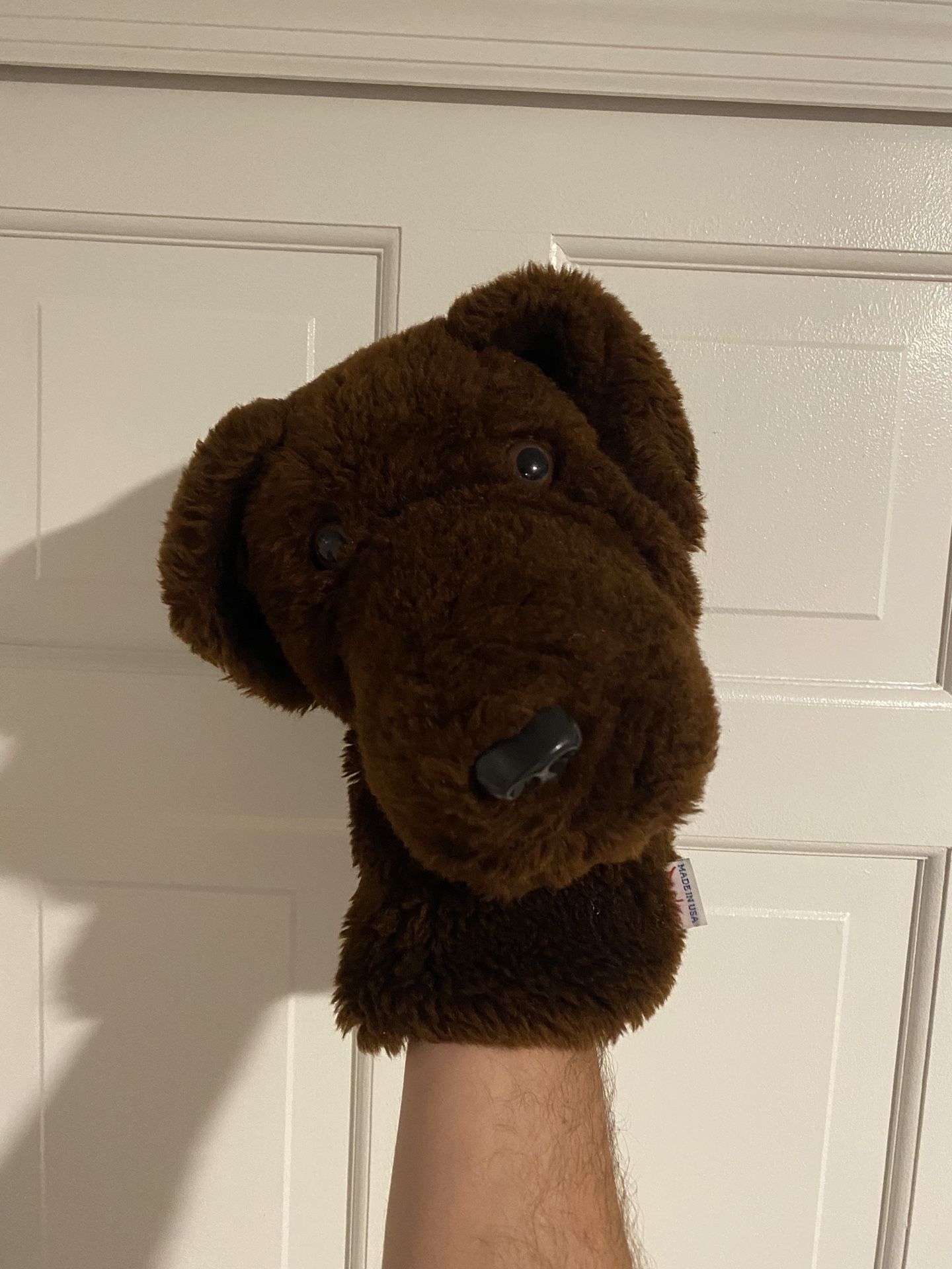 Daphne Chocolate Lab Driver Head Cover