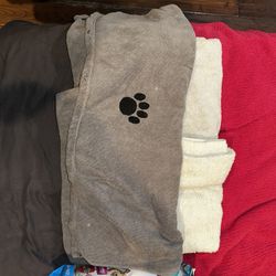 Dog Towels 