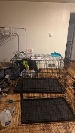 Cage For Dogs 