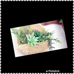 Succulent Rope Pocket Wall Hanging Decor 💕💕