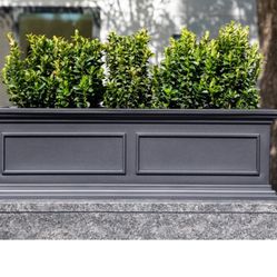 Large Container For Plants or Hedges 