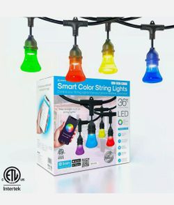 Atomi Smart Color Changing Outdoor String Lights - 36ft LED18 Acrylic Bulbs WiFi Compatible with Alexa Google Assistant iOS Android