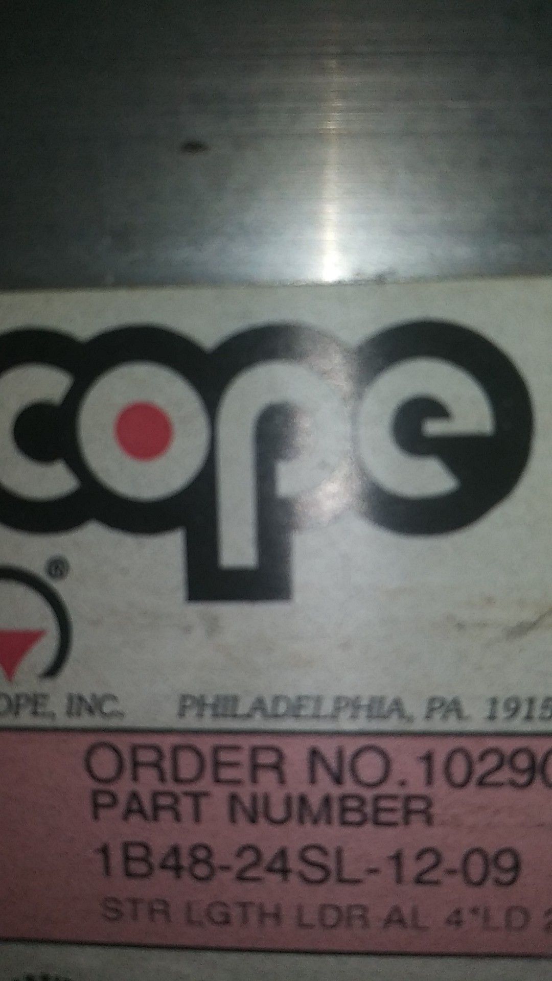 Cope wire support straight ladders