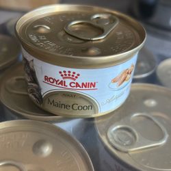 Royal Canin Feline Breed Maine Coon Cat Food