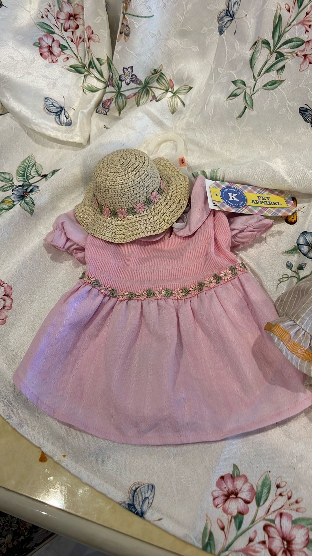 Dresses for little dog!