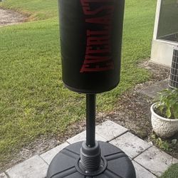 Everlast Omniflex Punching bag