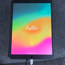 iPad Pro (10.5 in)