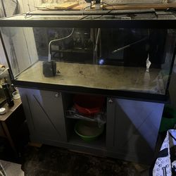 75 Gallon Aquarium Full Setup