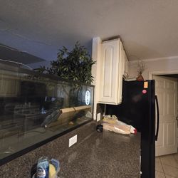 55 Gallon TopFin Aquarium 