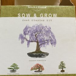 Bonsai Plant Growing Kit