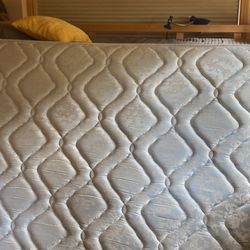 Queen Bed , Box Spring And Frame Free