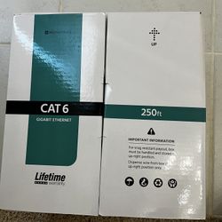 CAT 6 Ethernet cable