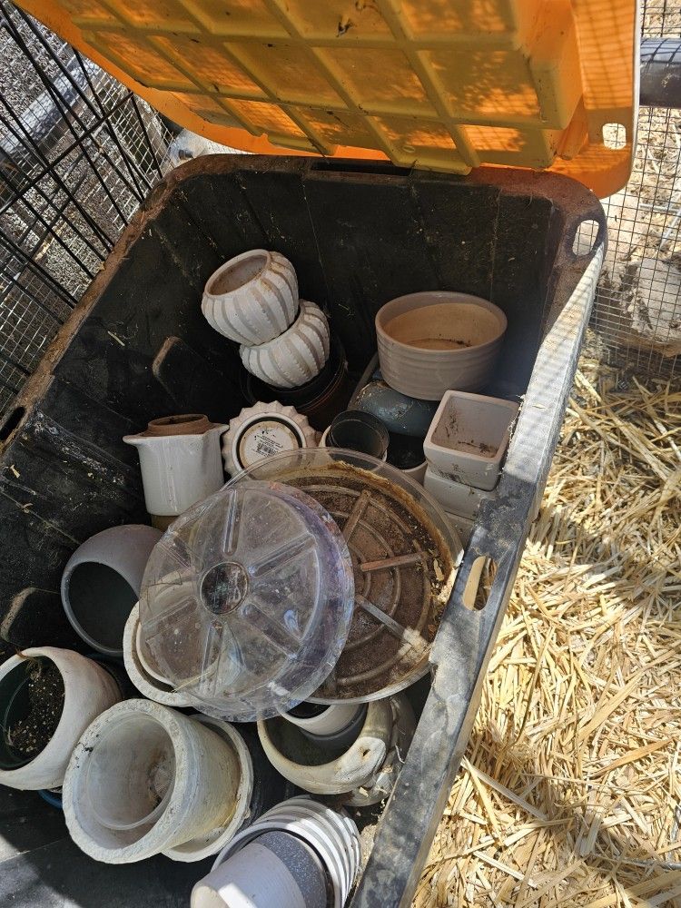 Plant Pots