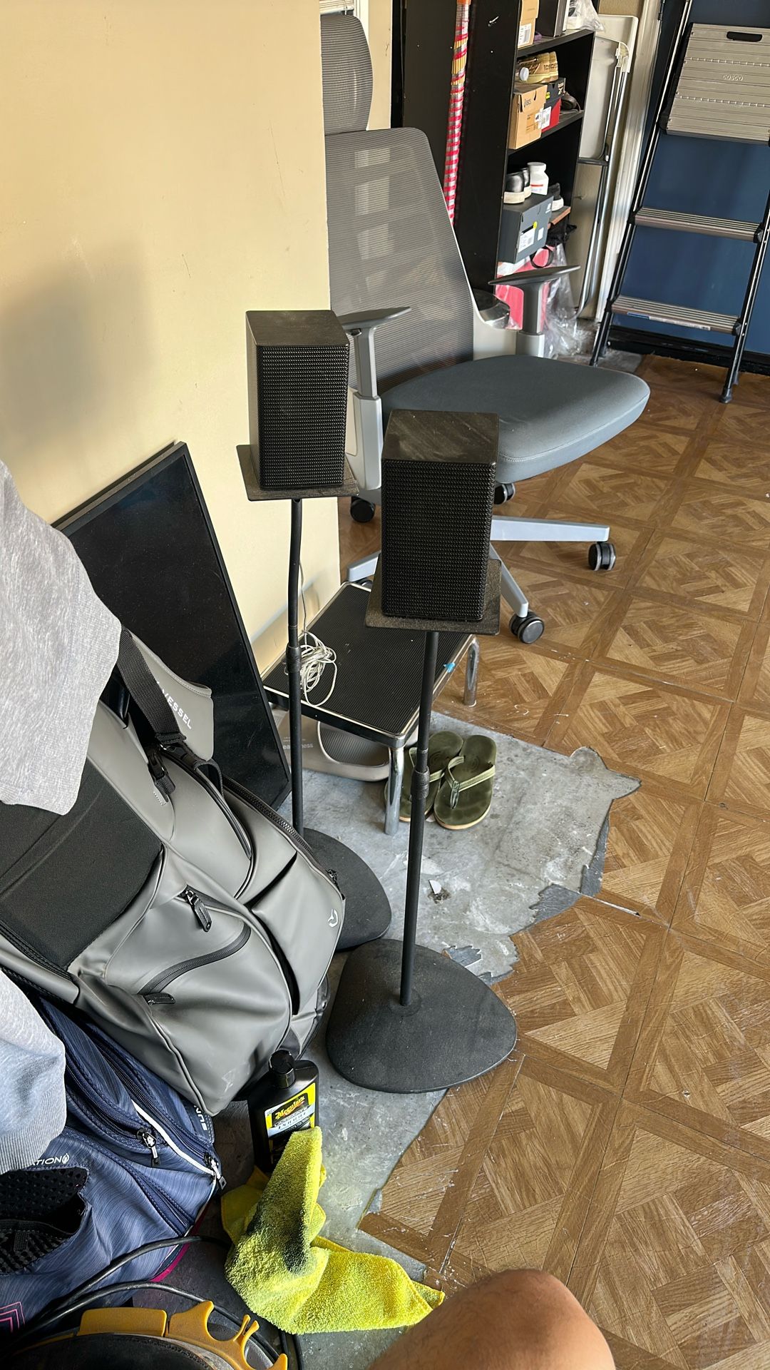 Samsung Surround speaker W/stand