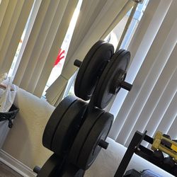 Barbell, Plates, Plate Rack