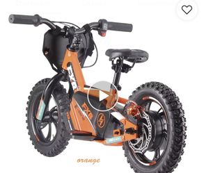 Electric Bike 